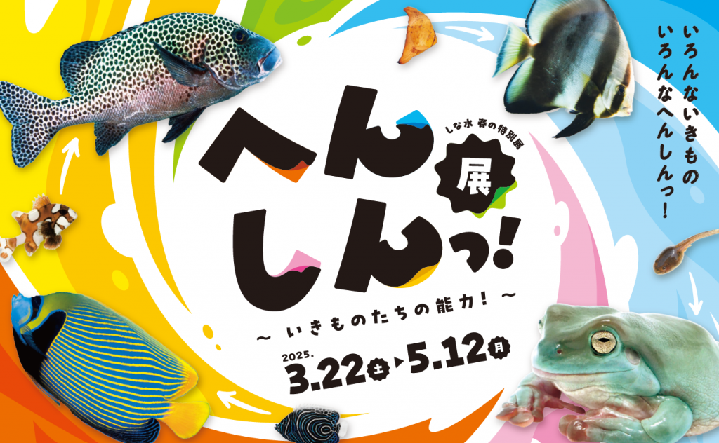 メイン
