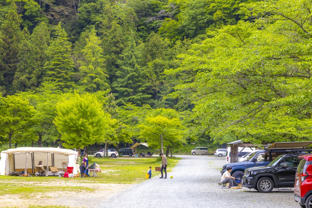 メイン