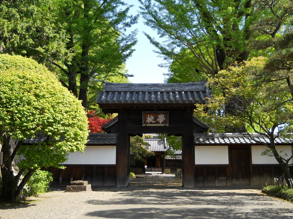 メイン①