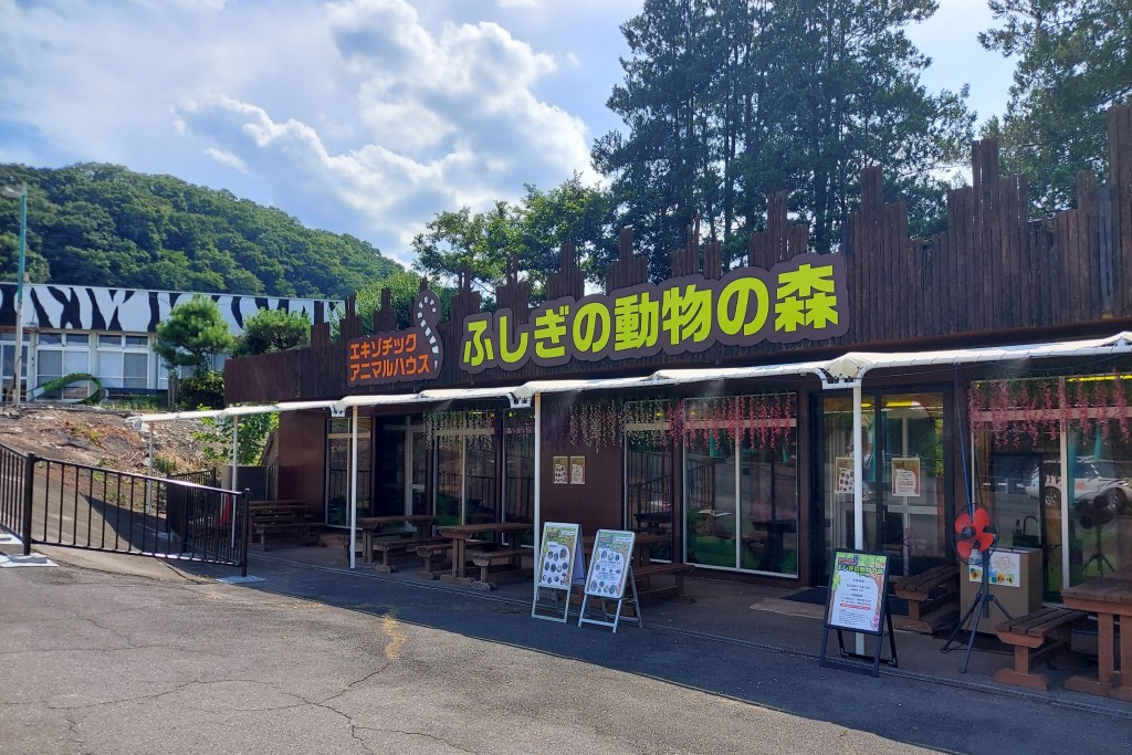 メイン写真