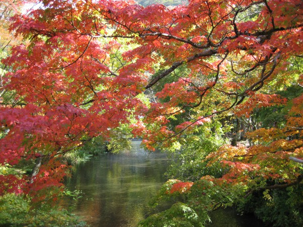 また行きたい！！秋を感じるおすすめの癒し旅特集～北部九州の旅館編～