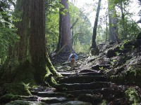 まだ見ぬ景色を求めて、今こそ、お得で楽しい熊本旅へ