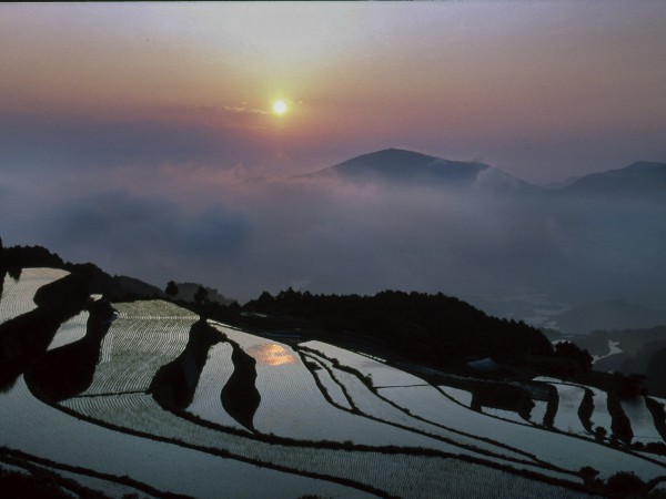 岳の棚田