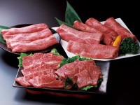 ブランド黒毛和牛や森林セラピー®、返礼品で飯南町の魅力を知る。