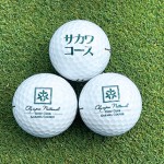 本誌を見て視察プレーにご参加の方にオリジナルロゴ入りゴルフボール1スリーブ（3個入り）をプレゼント！