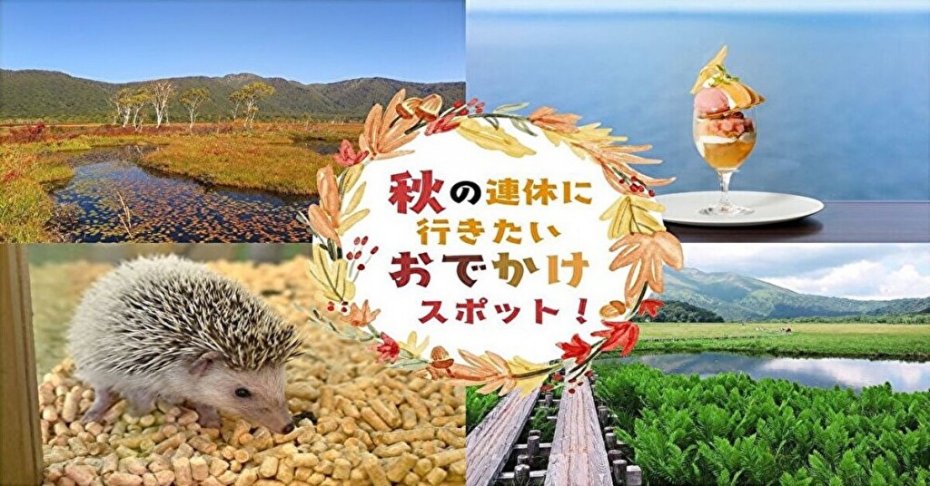 家族でもカップルでも！2025年 秋に行きたいおすすめのおでかけスポット6選