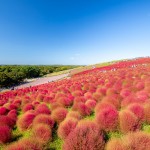 今こそ行きたい！ベストセレクトいばらき