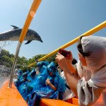 【伊豆】おすすめスポット4選