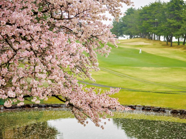 春の佳景と共に、ベストシーズンのゴルフ場へ。