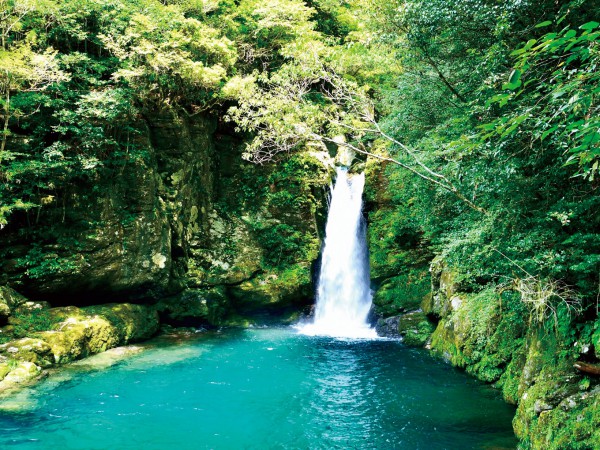 自然が生みだす＜奇跡の絶景＞高知県へ。