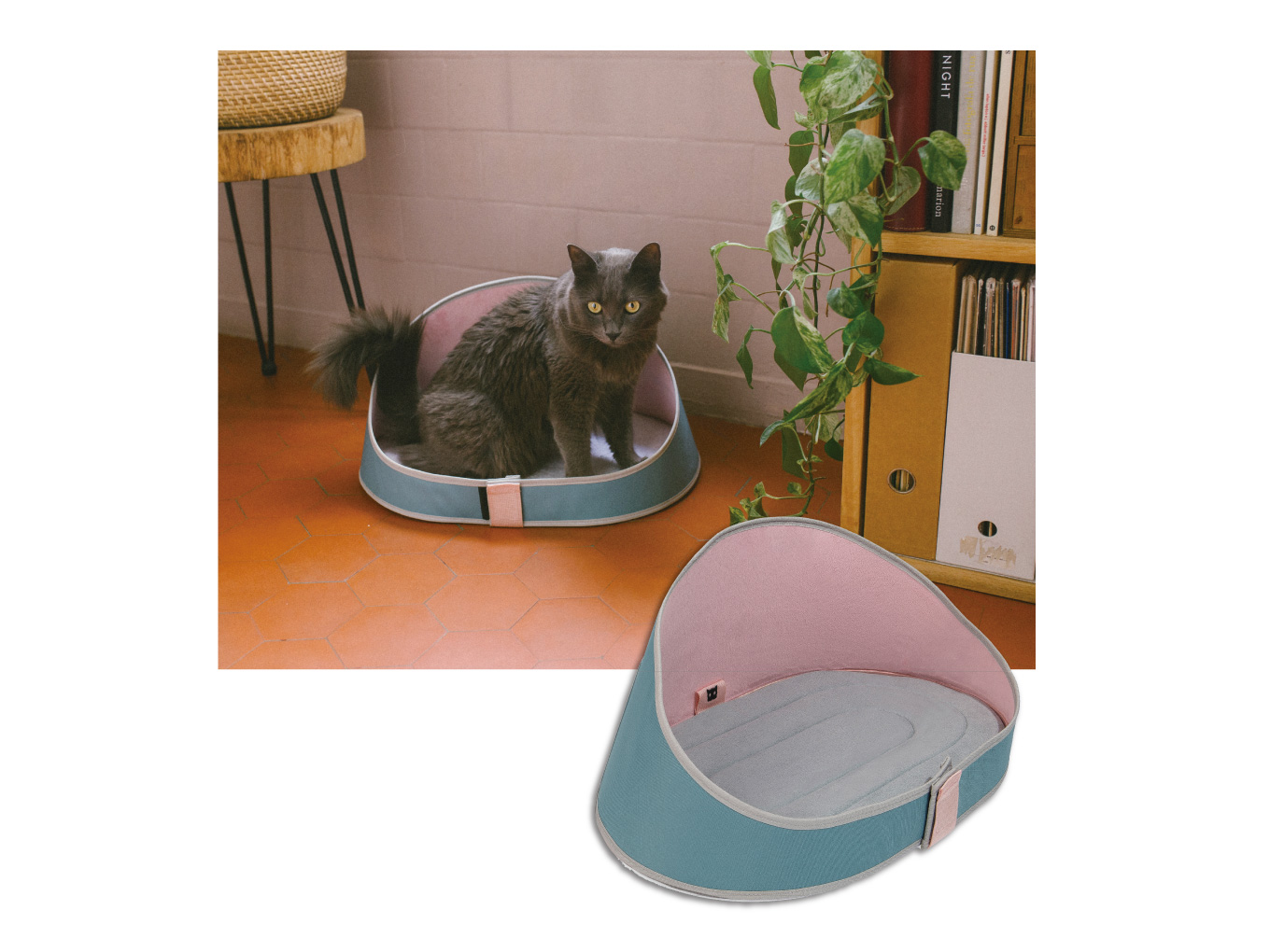 ZEE.CAT BED 3名様 (ジーキャット ベッド)