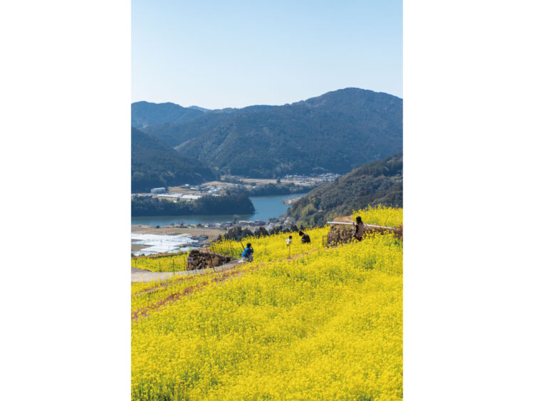 やなせ夫妻の故郷を訪ねて、春の高知へ。