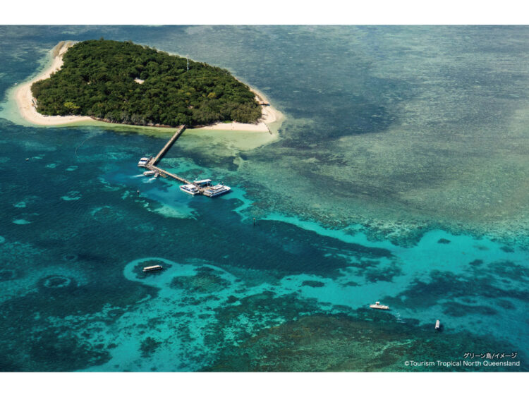 直行便で行く、まるかじり★ケアンズ5日間！