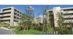 Always Smile もっと自由に、もっと元気に。