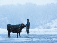 今冬のビッグニュース。幻の「尾花沢牛」、来月から市内の飲食店で提供開始。