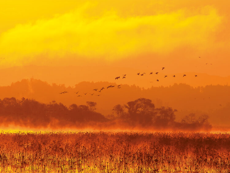 花鳥風月、秋の宮城