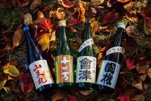 南会津町内4蔵の秋の地酒 4本セット×5名様 ※パッケージや地酒の種類は 変更の可能性あり。