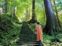 山、海のアクティビティを満喫 この夏こそ鶴岡市へ出かけよう！