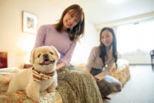 さぁ、愛犬を連れて！蔵王連峰のリゾートホテルで心から安らぐ休日を