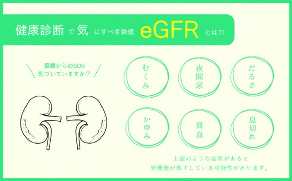 健康診断で見落としがちな「eGFR値」。 それは、腎臓からの小さなSOS