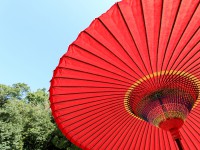 もっと「日本」を学ぼうよ。
