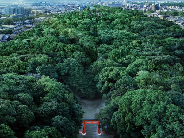 世界遺産・下鴨神社の鎮守の森。二千年の歴史に抱かれる邸宅。