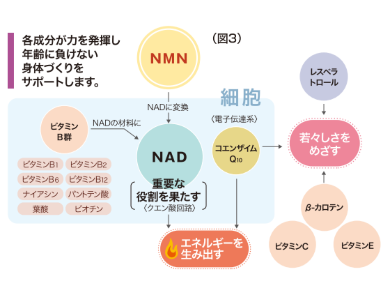 日清＿図3