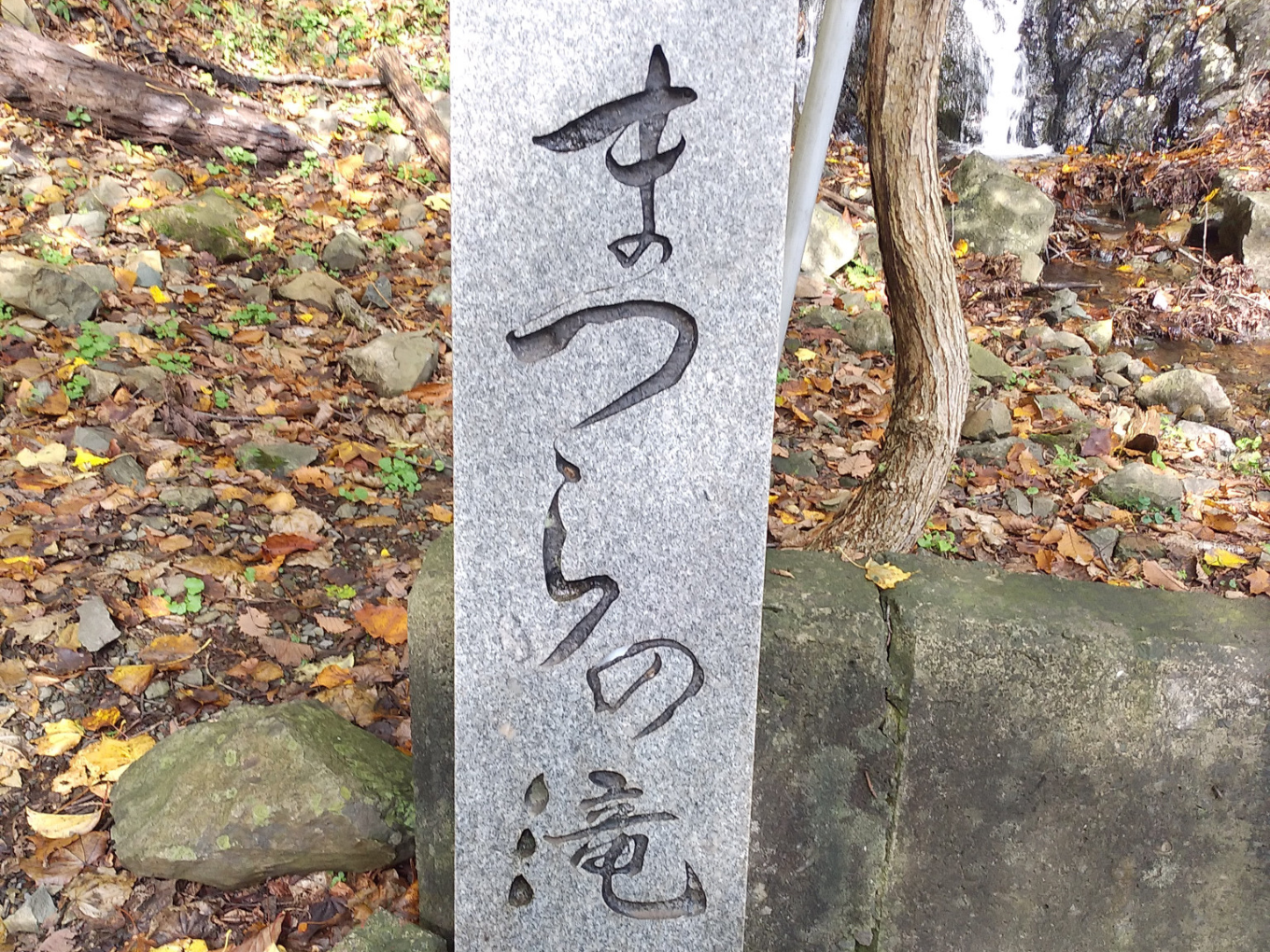 ワイン＿サブ３
