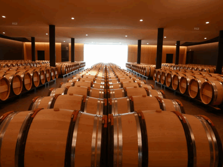 ワイン。それは摩訶不思議な、されど楽しき飲み物。【ワイン航海日誌】