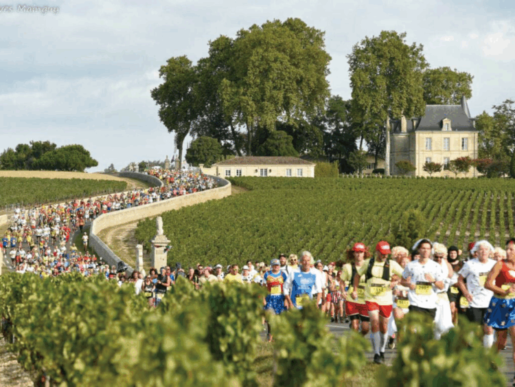 「目的のある旅」をパーパスジャパンが企画!今年こそ人気コースを走る、2025年海外マラソンツアー をご紹介!